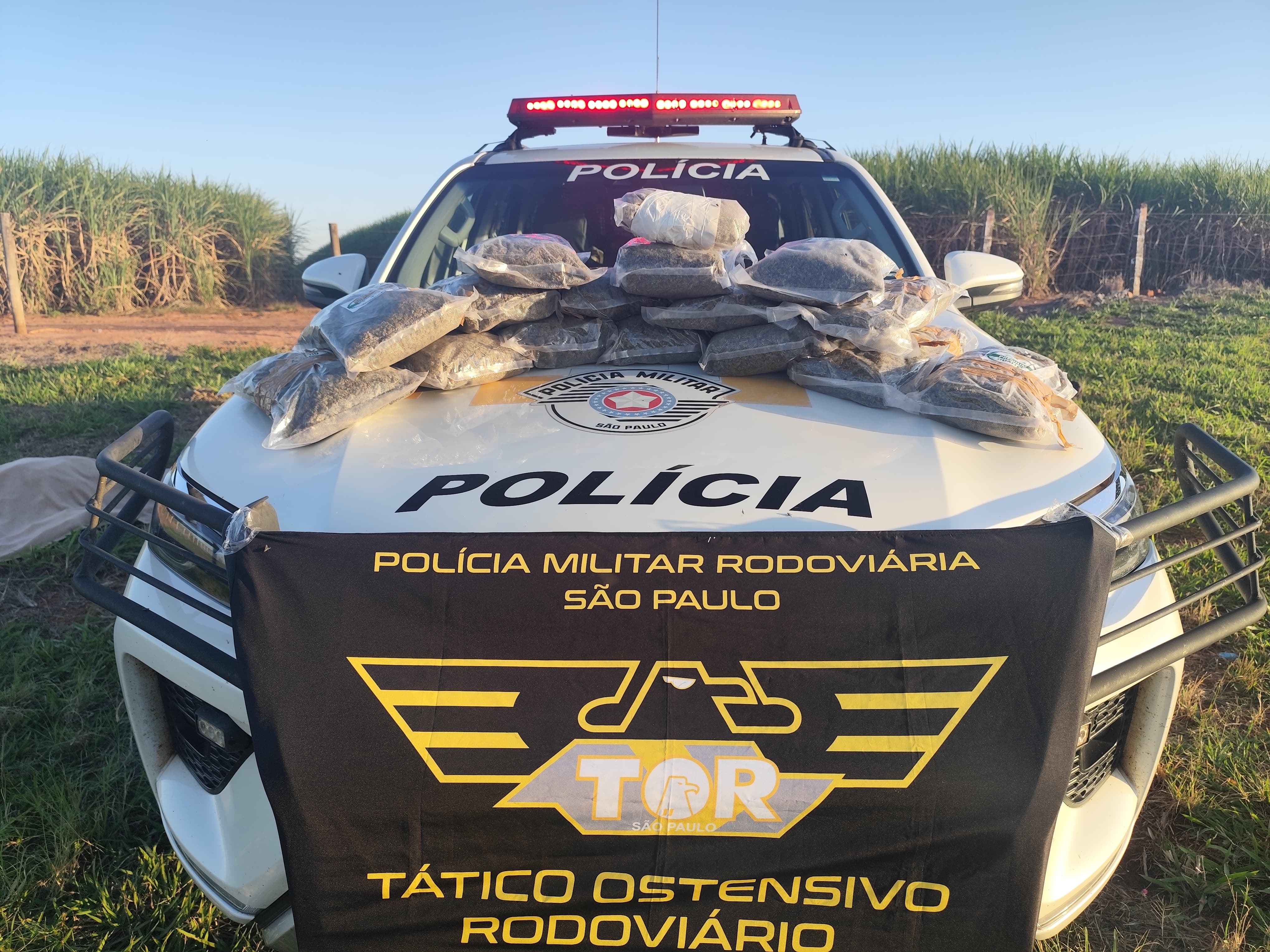 Polícia Rodoviária Estadual intercepta mais de 8 kg de Skunk em ônibus e prende passageiro em Bento de Abreu