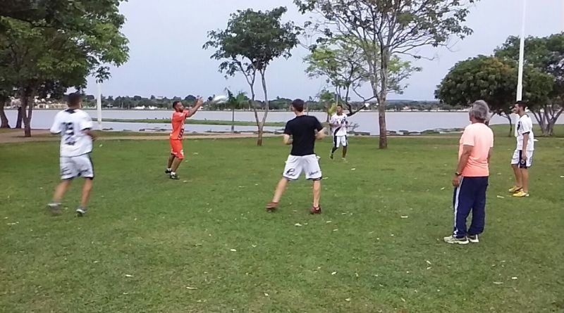 No lugar de uma nova Avenida em Andradina estão plantando árvores