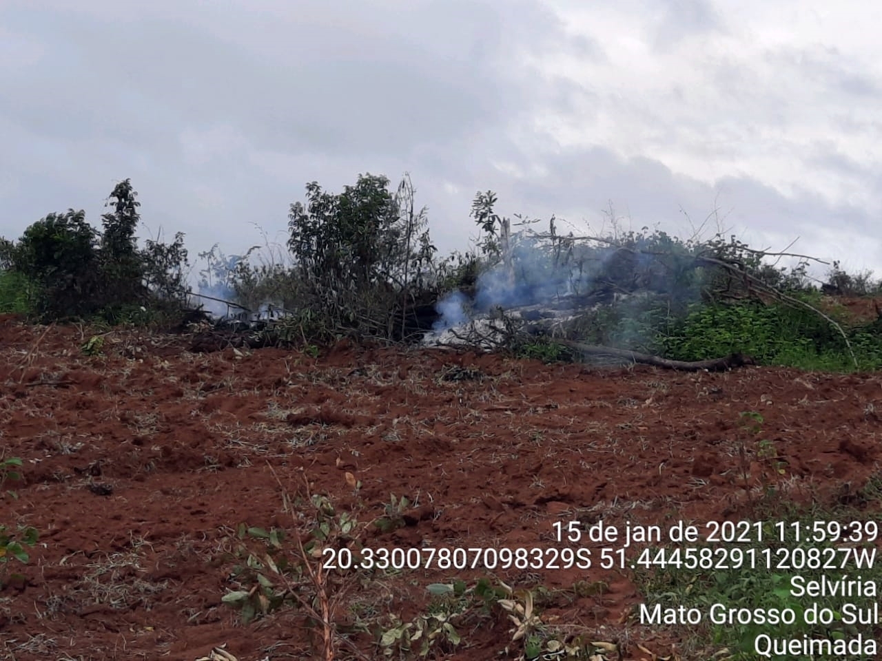 EM SELVÍRIA, FAZENDEIRO É MULTADO EM MAIS DE R$ 51 MIL POR INCÊNDIO EM VEGETAÇÃO NATIVA