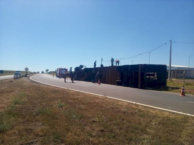 Caminhão com 60 vacas capota em frente ao CDP de Nova Independência. Motorista socorrido ao UPA de Andradina