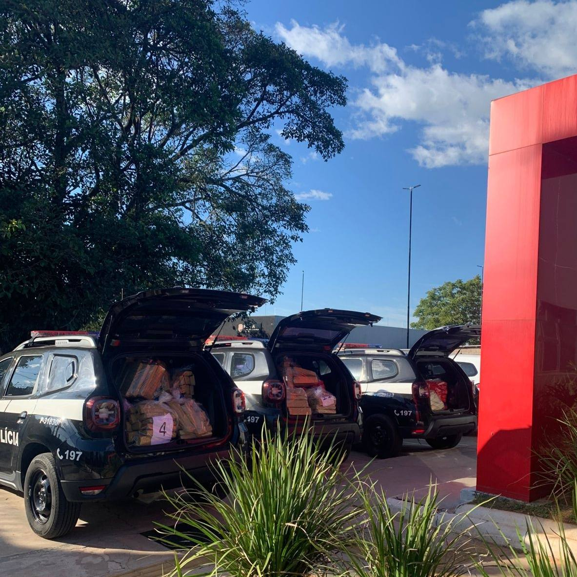 POLÍCIA CIVIL INCINERA MAIS DE 400 QUILOS DE ENTORPECENTES EM PAULICÉIA