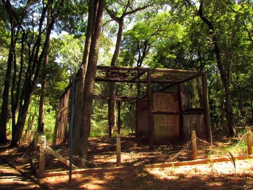 ANDRADINA 83 ANOS ! Há 15 anos atrás o zoológico Moura Andrade em Andradina era fechado pelo Ibama