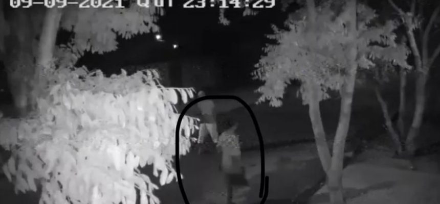 “Saci do crime” é preso depois de viralizar ao escalar muro e furtar câmera em Três Lagoas