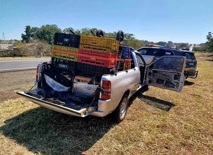 TOR e FICCO/SP apreendem mais de 410 kg de maconha na rodovia de Integração SP 563 em Andradina