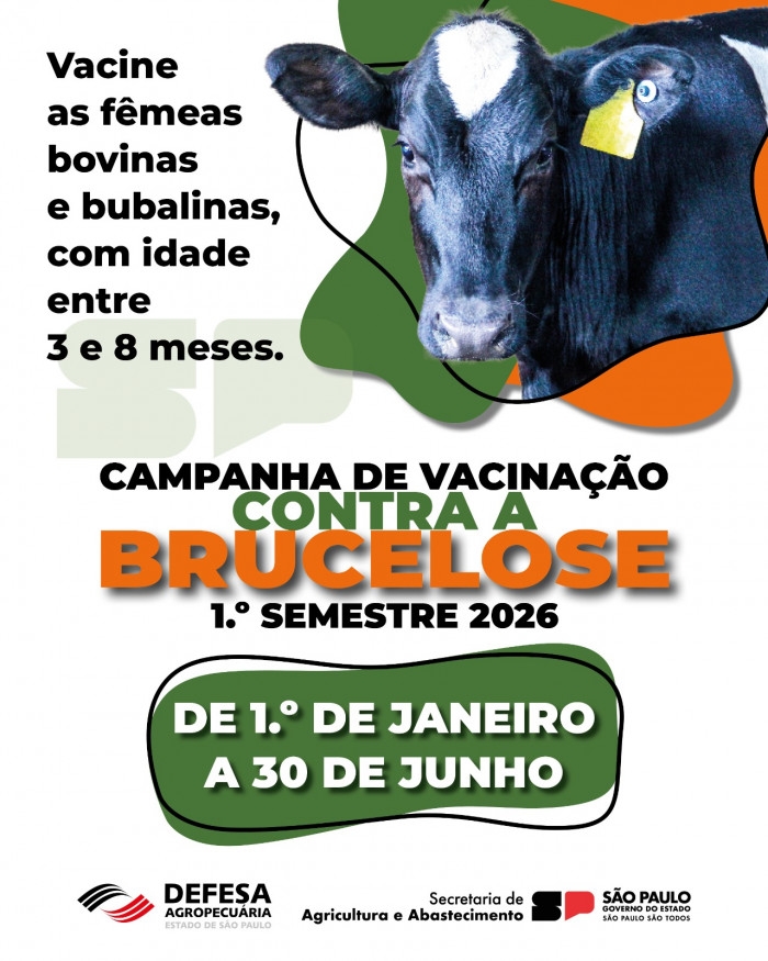 1ª etapa de VACINAÇÃO CONTRA BRUCELOSE já começou em Castilho e segue até 30 de junho em todo o Estado