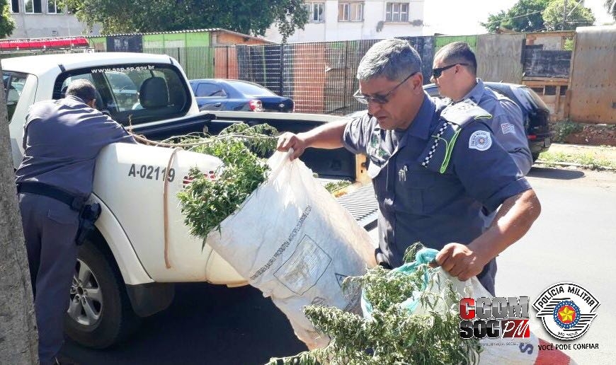 FAPIC 2017: Evento também terá parque de diversões e ampla praça de alimentação em Ilha Solteira