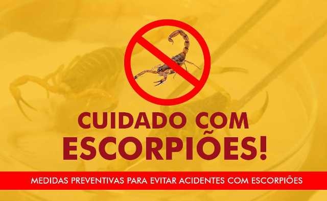 Prefeitura de Birigui informa: 552 acidentes com escorpiões este ano. CCVZ faz alerta aos moradores