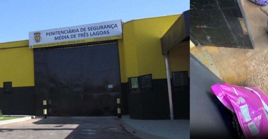 Presídio proíbe ração para gatos e protetoras se revoltam em Três Lagoas; 12 dias com fome