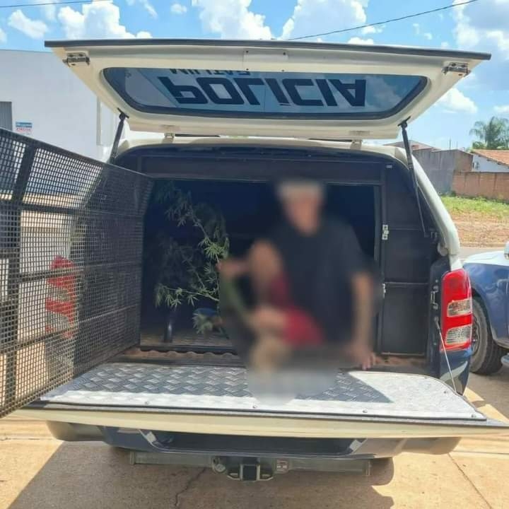 Jovem é preso pela Polícia Militar após exibir plantação de maconha nas redes sociais em Três Lagoas