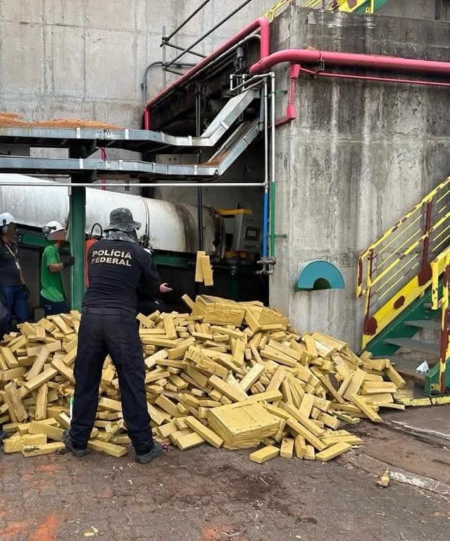 Polícia Federal de Três Lagoas incinera 8,2 toneladas de maconha