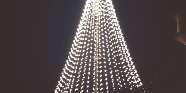 Árvore de Natal de 35 metros chama a atenção em Valparaíso