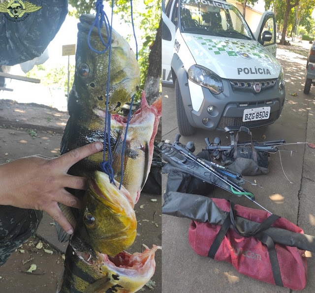 Polícia Ambiental autua dois agrônomos e um dentista por crime ambiental em Castilho