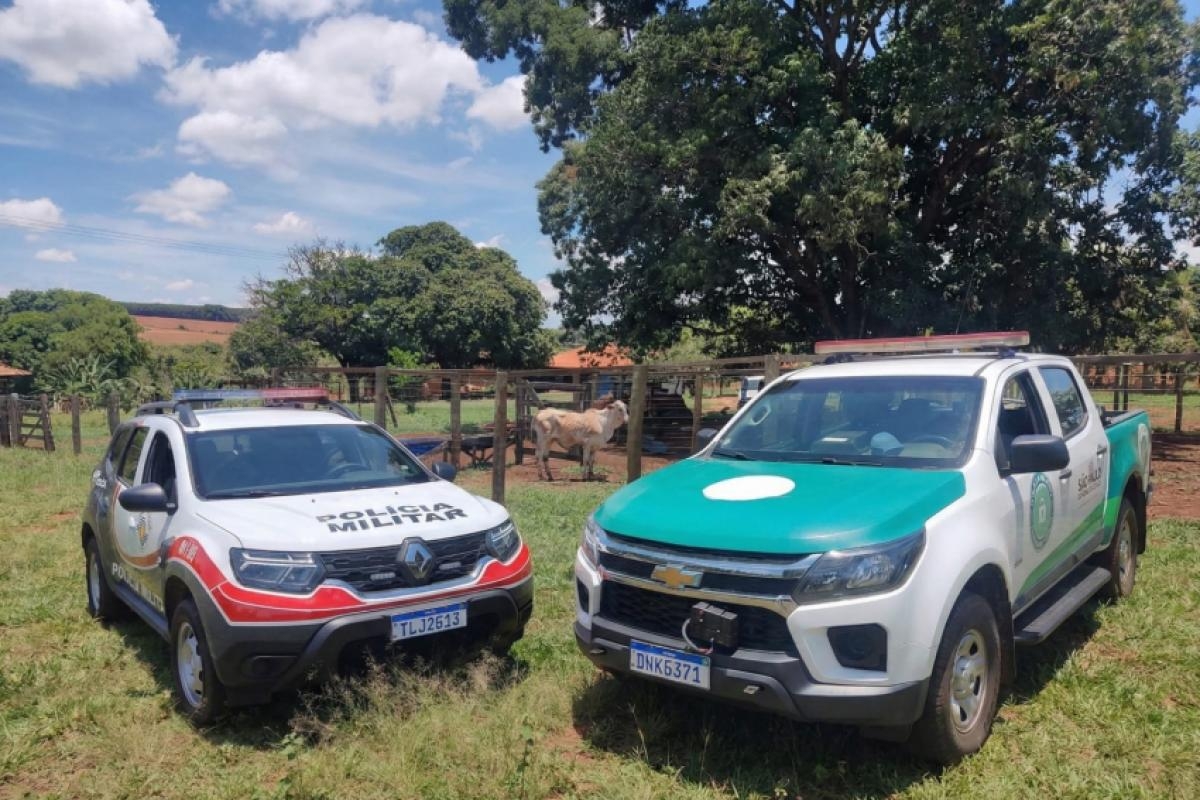 Polícia Militar de Buritama prendeu homem acusado por furto de gado