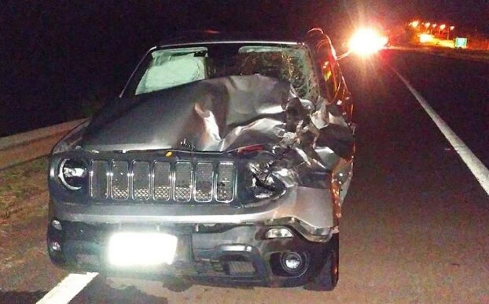 Em Andradina acidente grave na Marechal Rondon detona três carros e mata cavalo