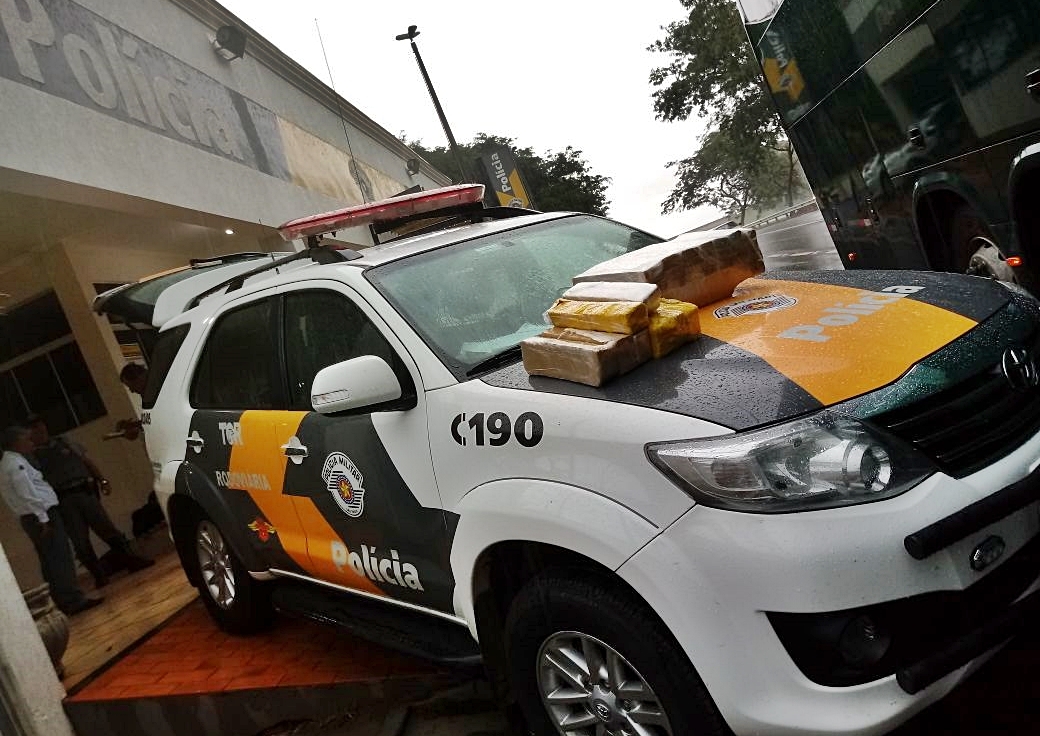 PMA encontra onça-pintada atropelada em grama à margem da BR 262