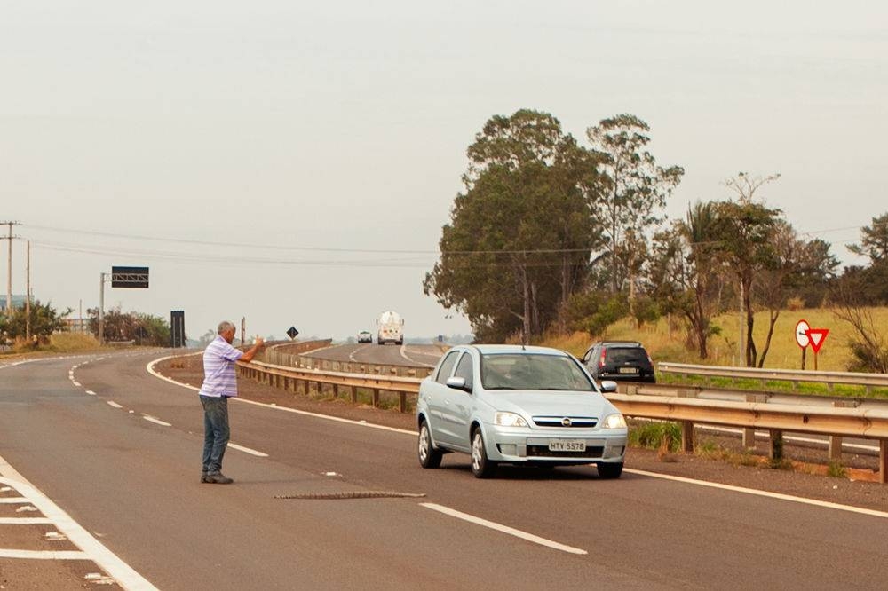 Em Andradina motorista arrisca a vida no entrocamento da SP 300 com SP 563 para salvar cobra