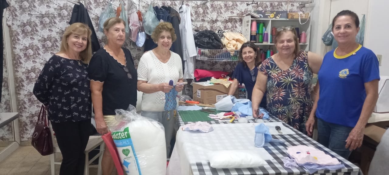Projeto das Naninhas é retomado pelo Lions Clube Andradina Sul