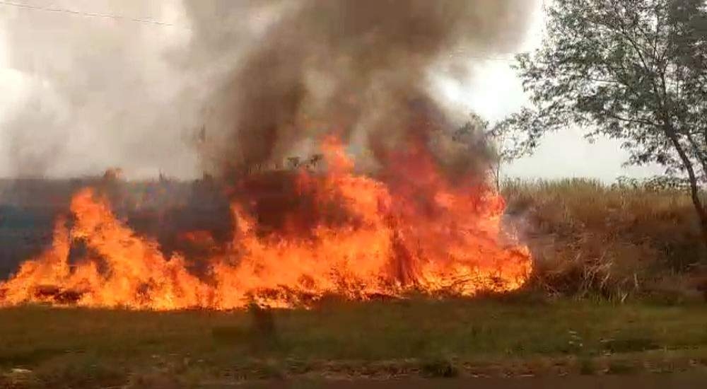 Fogo atinge margens da Rodovia General Figueiredo em Tupi Paulista