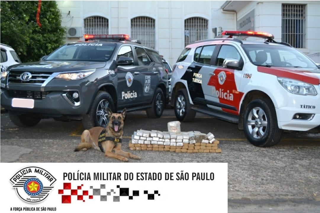 Baep/Canil e Força Tática apreendem droga na Marechal Rondon em Penápolis e Araçatuba
