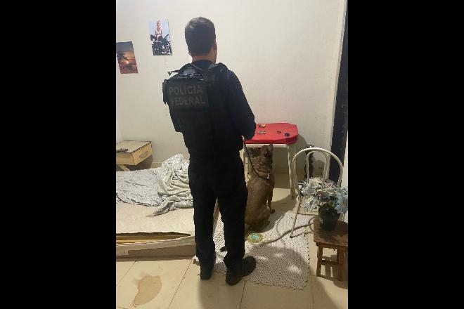 Polícia Federal deflagra operação contra tráfico de drogas via delivery em Três Lagoas