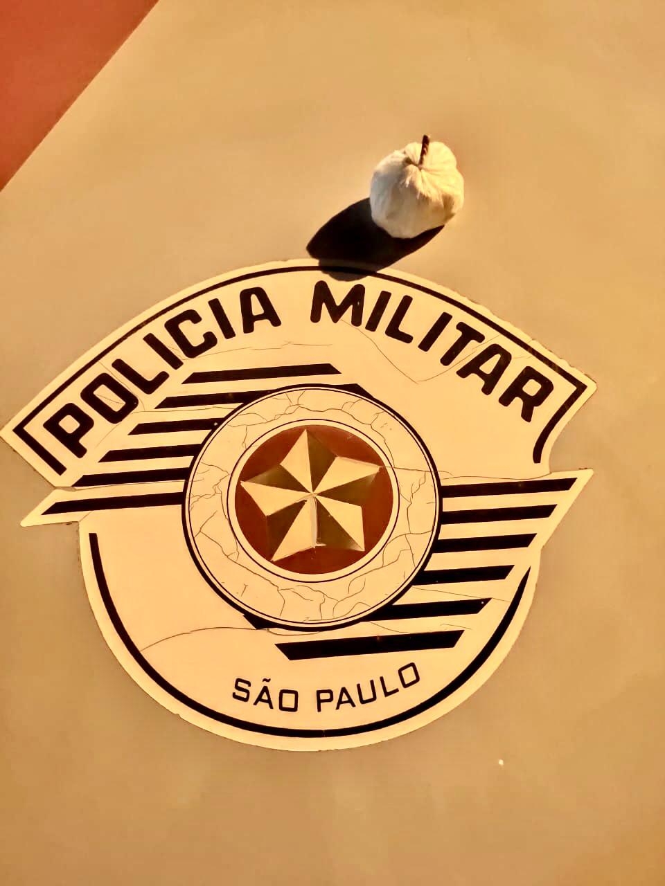 Mulher de Santa Fé do Sul é presa em Castilho por tráfico de drogas