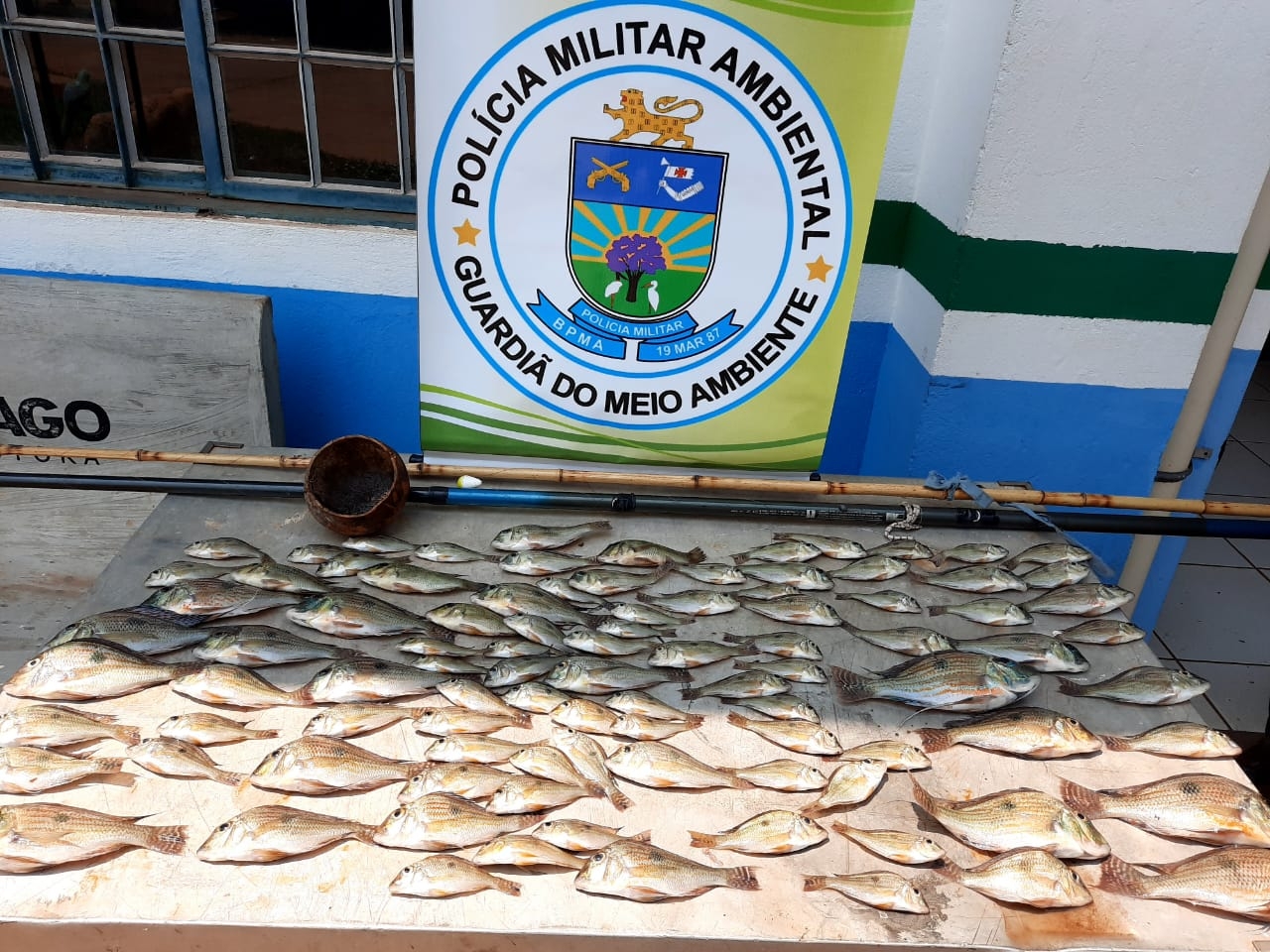 Polícia Militar Ambiental de Três Lagoas prende dois pescadores que pescavam nas em local proibido nas proximidades de hidrelétrica de Jupiá e apreende pescado