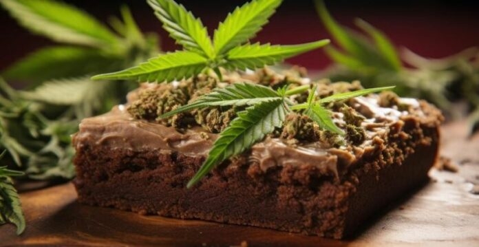 Polícia Civil de Birigui investiga jovem por oferecer bolo com maconha para colega de trabalho