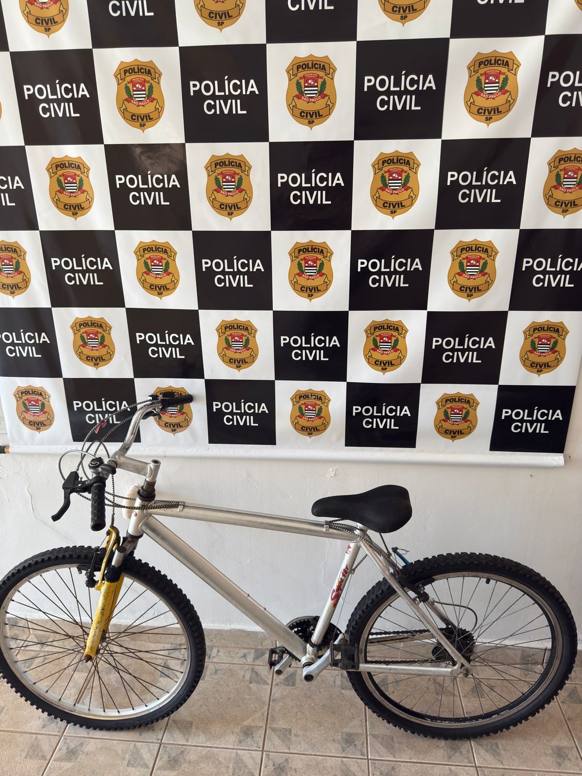 POLÍCIA CIVIL DE PACAEMBU RECUPERA OBJETO FURTADO