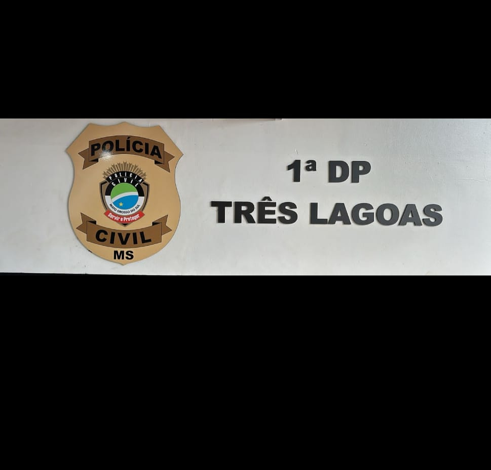 1ª Delegacia de Polícia de Três Lagoas recupera escada furtada e prende autor de furto