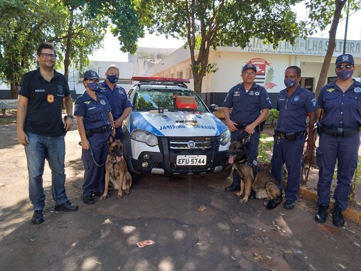 Guarda Municipal de Ilha Solteira participa de operação conjunta com as Polícias Civil e Militar