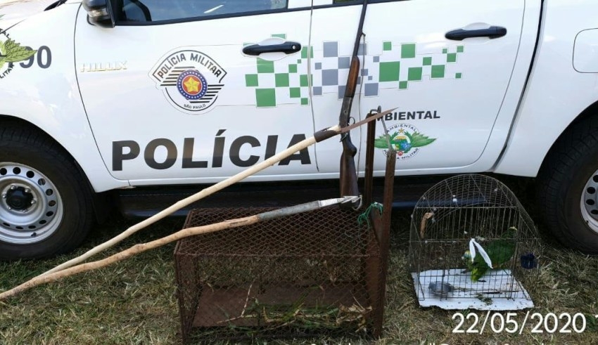 Polícia Ambiental deflagra operação em Guaraçaí e Murutinga contra a caça de animais silvestres