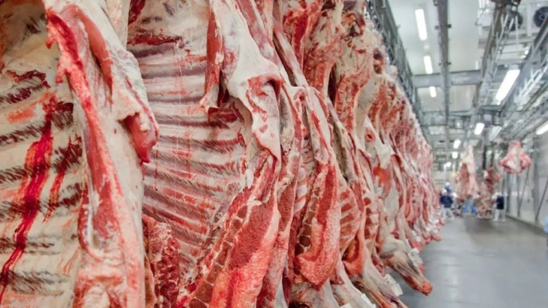 Andradina está nas TOP10 exportadoras de carne do Brasil