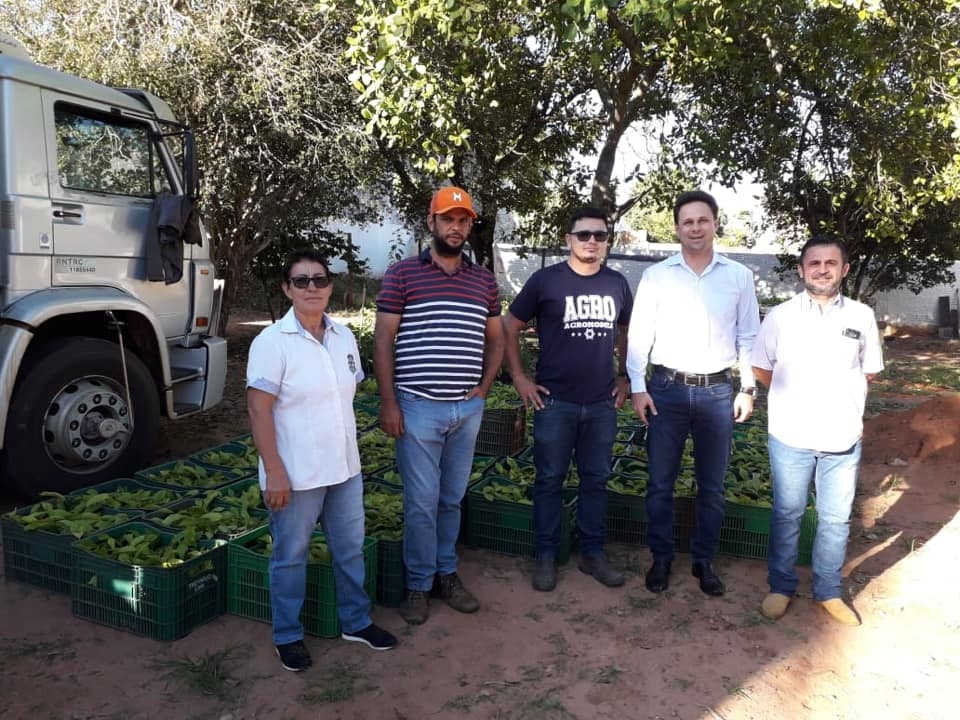 PARCERIA PÚBLICO/PRIVADO ENTREGA CLONES DE CAFÉ EM TUPI PAULISTA