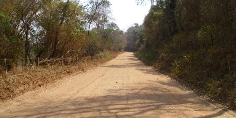 Corpos carbonizados são encontrados em plantação de Três Lagoas