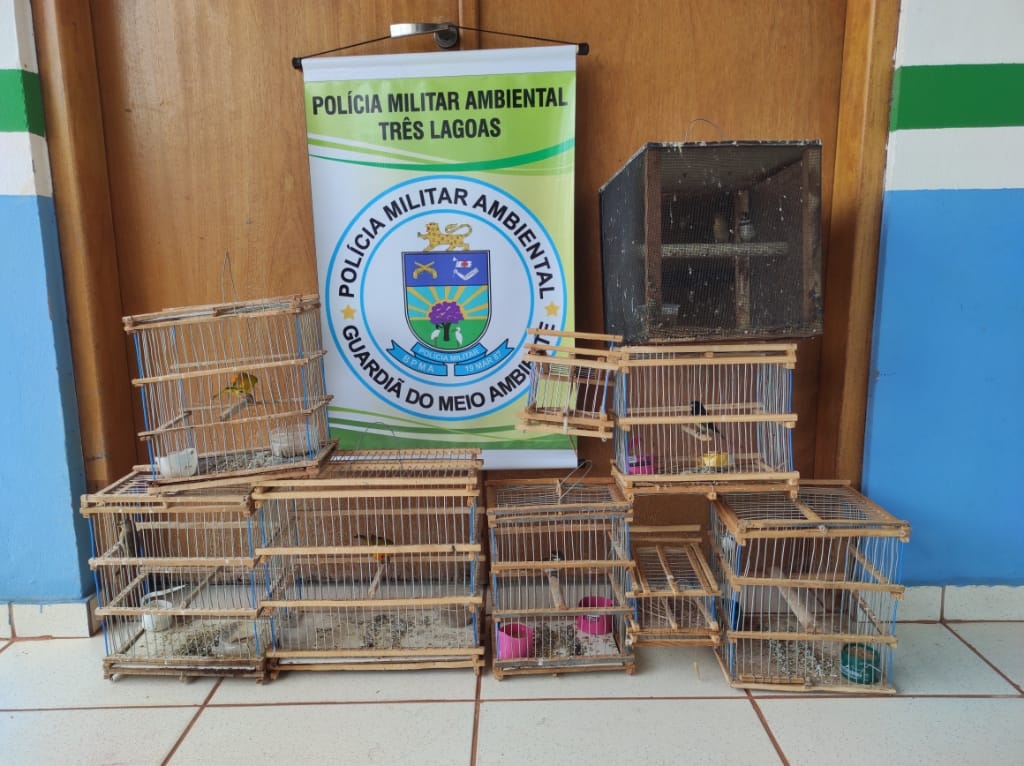 Polícia Militar Ambiental de Três Lagoas autua homem de 49 anos em R$ 4,5 mil por manter pássaros silvestres ilegalmente em cativeiro