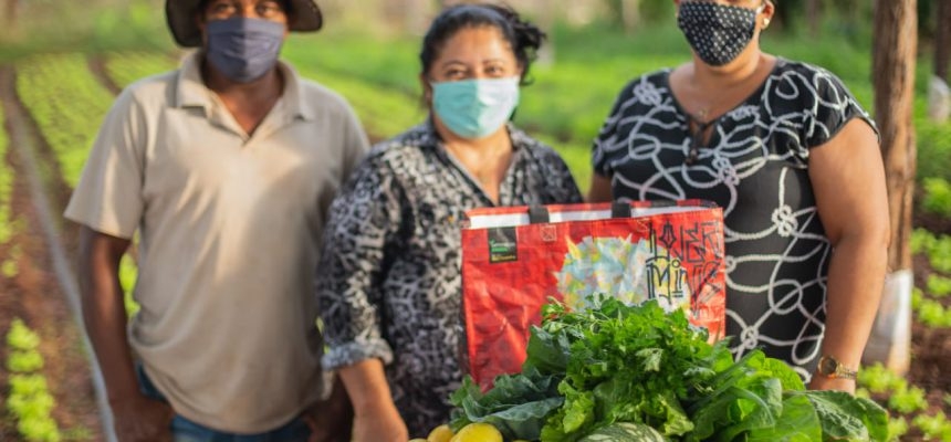 Agricultores familiares de Três Lagoas registram aumento de 356% nas vendas por dellivery