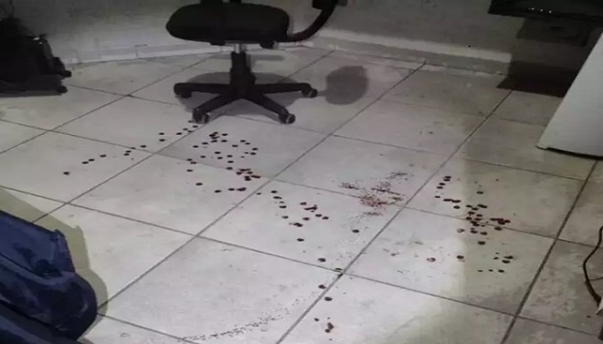 Vigilantes são alvos de atirador e um acaba baleado em Três Lagoas