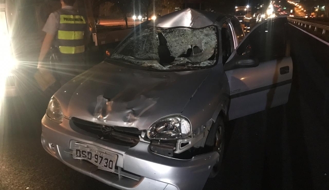 Em Andradina munícipe é picada por escorpião enquanto fazia processo de lavagem de folhas de alface