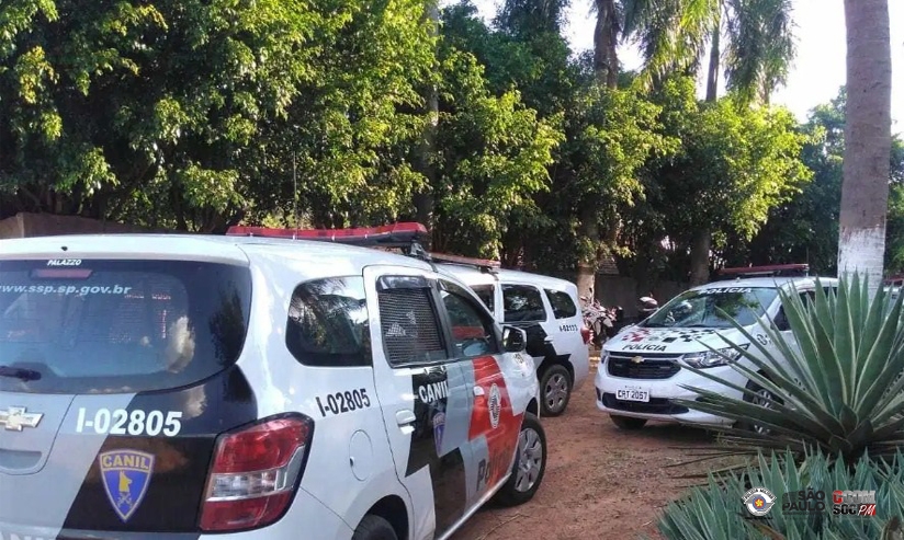 POLICIAIS MILITARES DE ARAÇATUBA DESCOBREM LABORATÓRIO DE PRODUÇÃO DE MACONHA E DETÊM CASAL