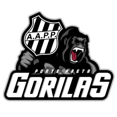 Andradina Esporte Clube realizou amistoso contra Ponte Preta