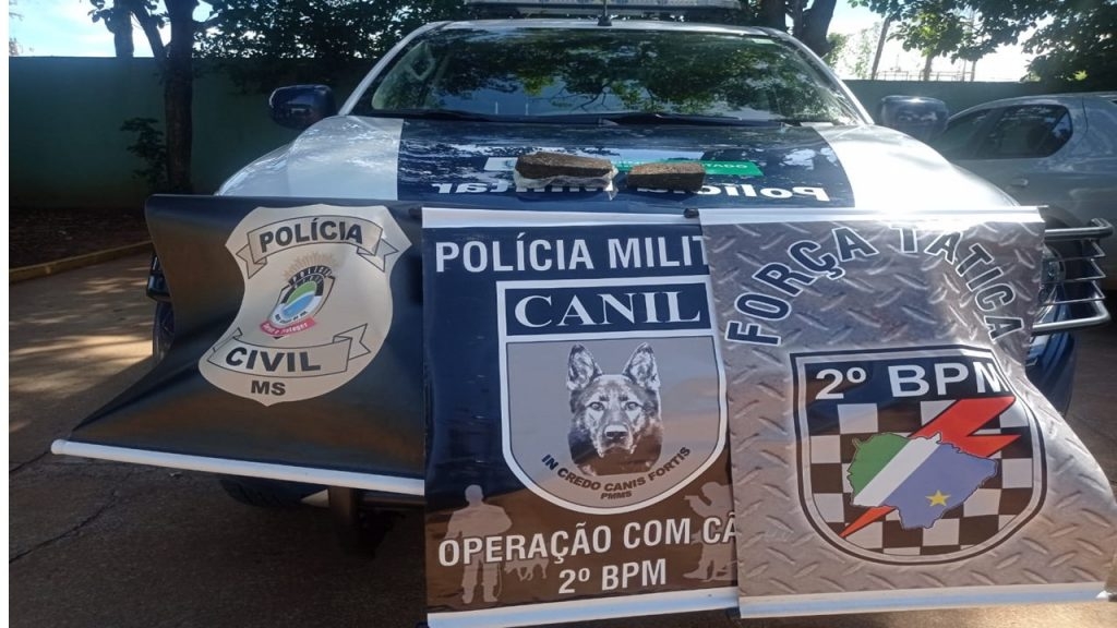 Força Tática, SIG e Canil em ação contra o tráfico de drogas no bairro Guanabara em Três Lagoas