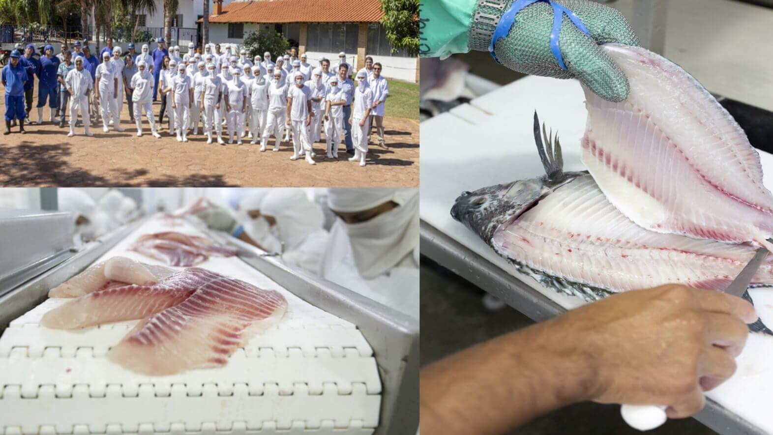 BTJ FOODS de Ilha Solteira tem vagas abertas para auxiliar de produção e refiletador