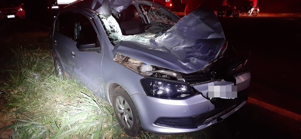 Em Junqueirópolis boi solto em rodovia provoca acidente e deixa casal ferido; homem está com ferimentos graves