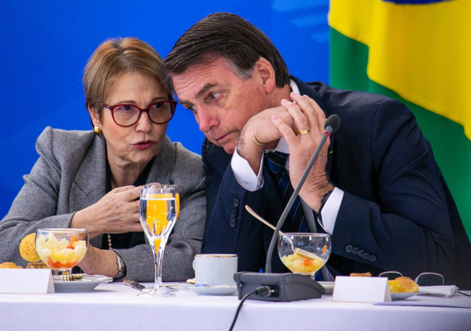 Bolsonaro contraria ministra Tereza Cristina e anuncia veto a venda de terra a estrangeiros