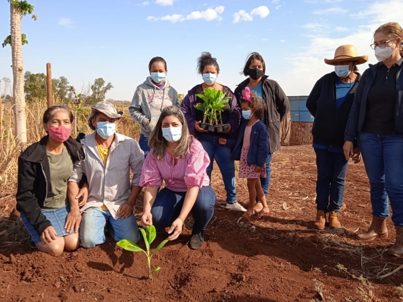 Na Terra do Rei do Gado pequenos produtores ganham formação para investir na cultura da banana