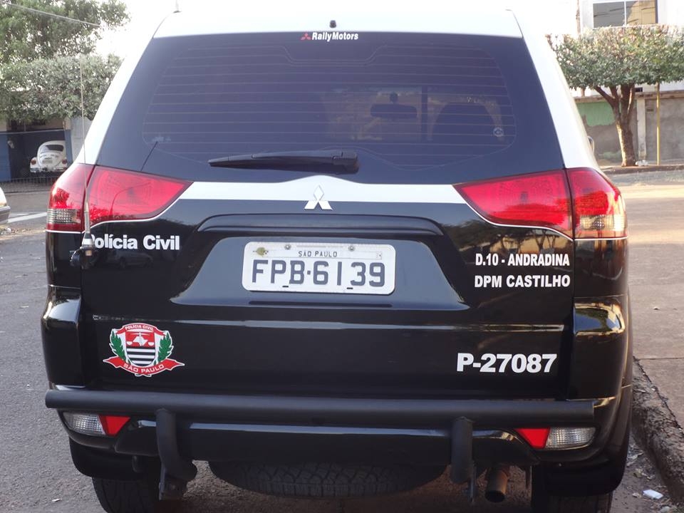 Bandidos roubam camionete em Andradina e durante fuga batem em pé de eucalipto em Três Lagoas