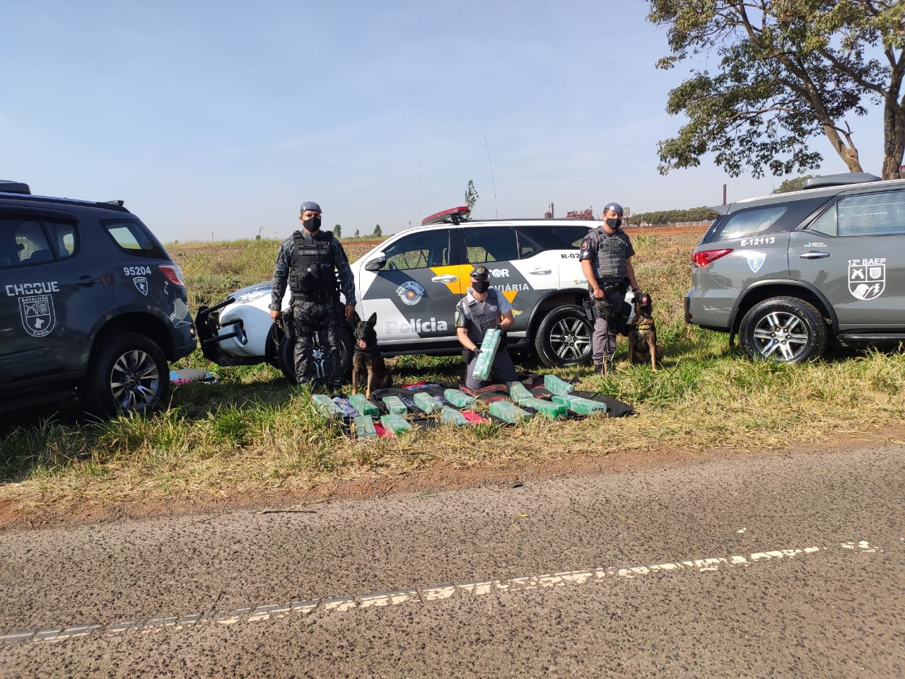 Homem de 29 anos é preso pelo TOR com 84 tabletes de maconha; cães do Baep e do Choque encontraram a droga