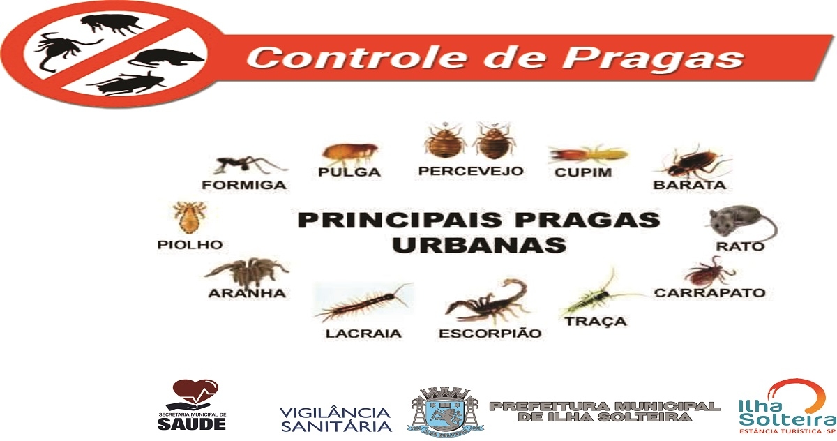 Enquanto falta ambulância e veículos para transporte de doentes, Governo de Andradina compra 02 carros de luxo para o gabinete
