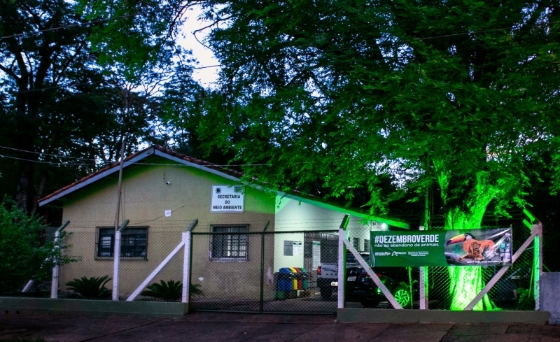 No Dezembro Verde, meio ambiente faz conscientização contra abandono de animais em Andradina