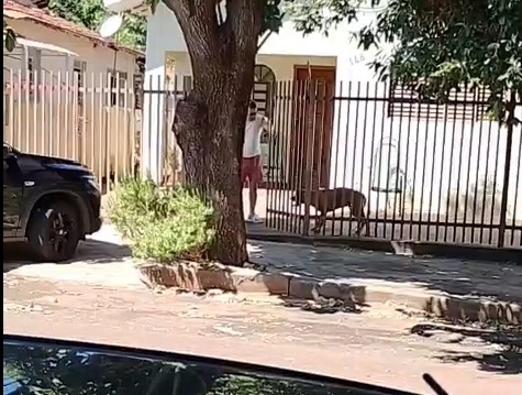 Departamento de Proteção Animal de Andradina acompanha caso de maus-tratos
